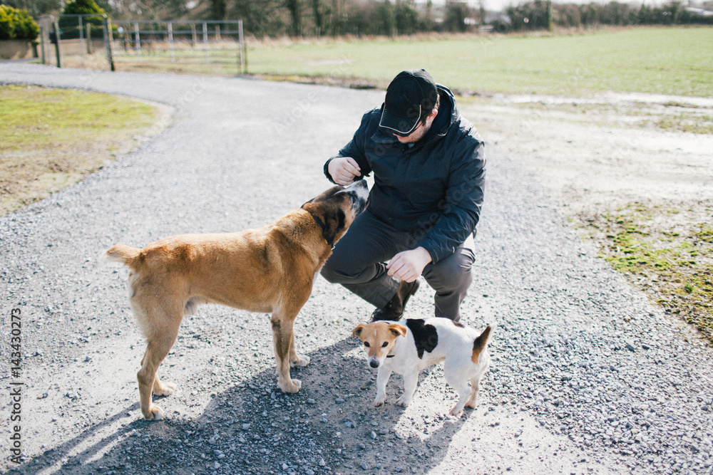 Young man pets two dogs on family farm Young man pets two dogs on family farm