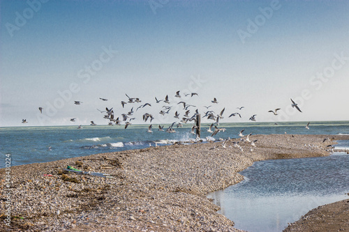 Spiaggia Grottammare photo