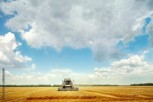 Combine harvester under blue sky © Igor Strukov