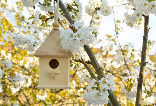 Birdhouse with blossom cherry flower