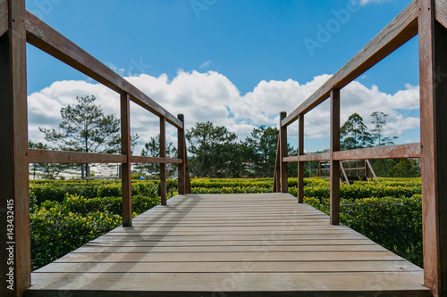 Wood bridge in Valley of love, Dalat, South of Vietnam