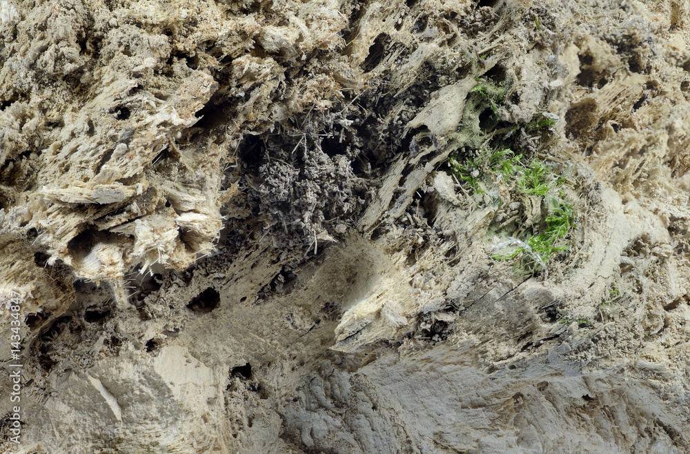 texture riddled rotten pan- background texture riddled rotten pan- background