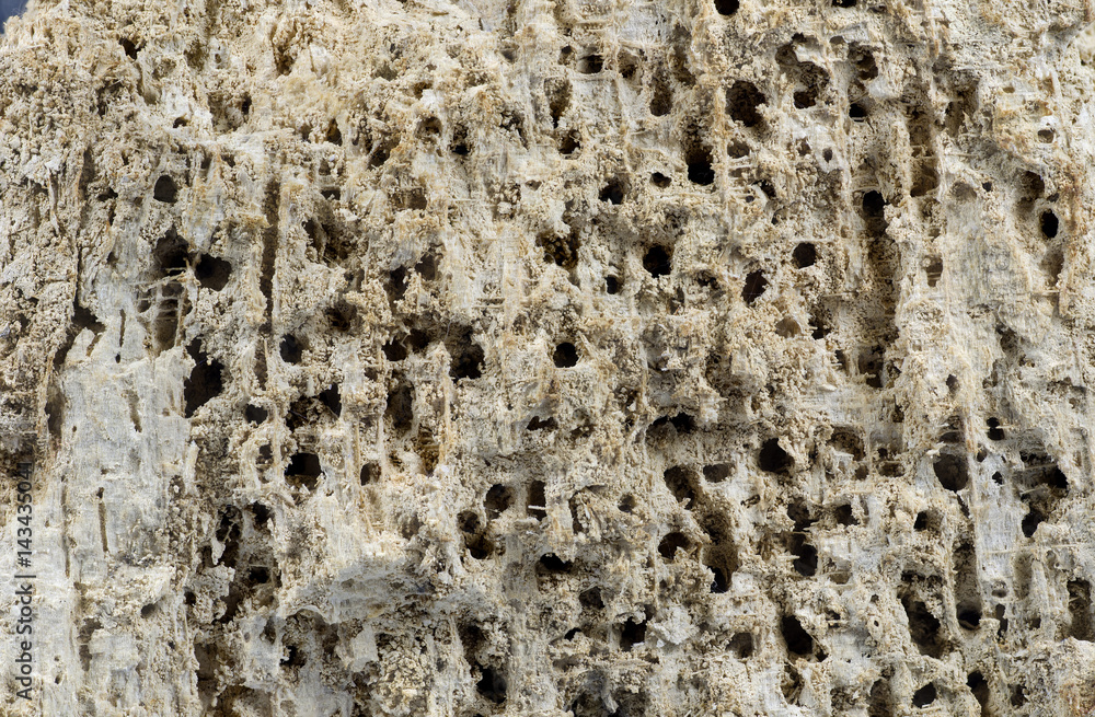 texture riddled rotten pan- background texture riddled rotten pan- background