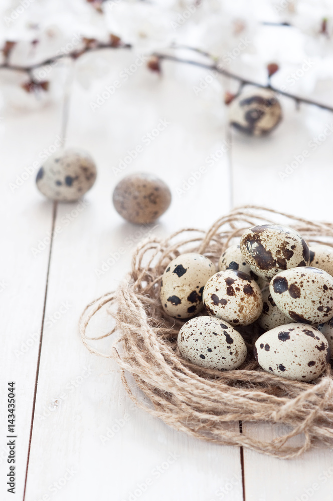 Quail eggs in a nest with spring flowers on a white rustic wooden background. The concept of a healthy diet. Quail eggs in a nest with spring flowers on a white rustic wooden background. The concept of a healthy diet.