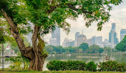 View of Bangkok skyline from Lumphini Park, Thailand. Business district cityscape from a park with cloudy sky in the evening photo