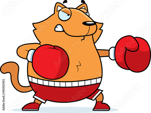 Cartoon Cat Boxing