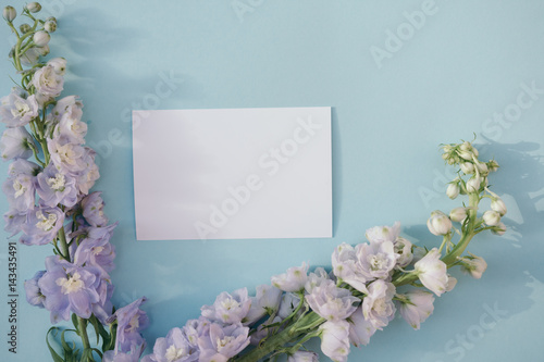 Fototapeta Blank business card mockup with  fresh delphinium flowers on pale blue background