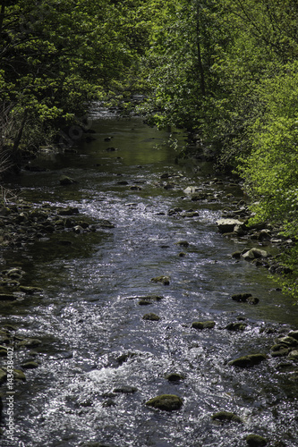 welsh trout stream