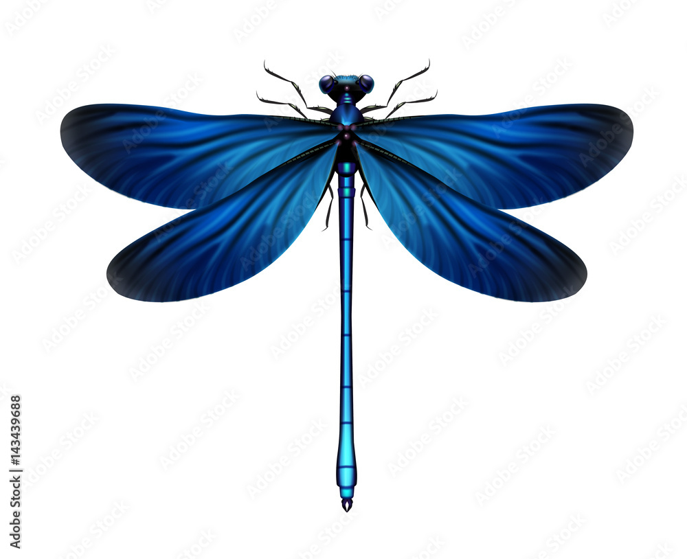 Ταπετσαρία Calopteryx Virgo dragonfly