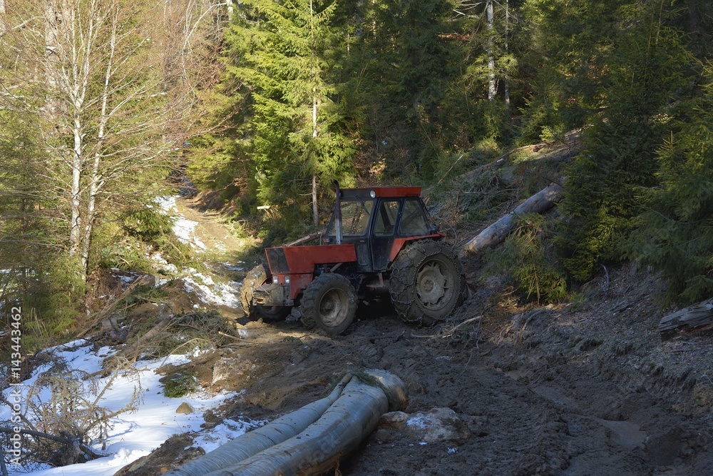 Skidding timber / Tractor is skidding cut trees out of the forest. Skidding timber / Tractor is skidding cut trees out of the forest.