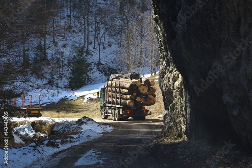 Truck with timber in the forest