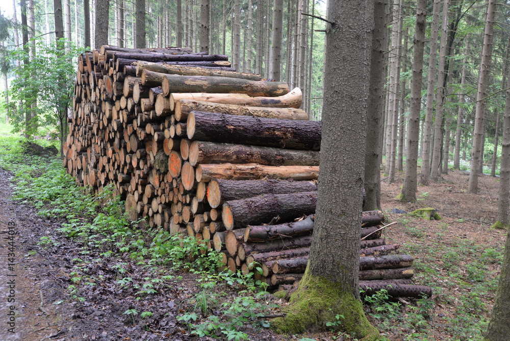 Holzstoß