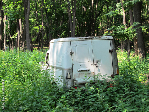 Abandoned cargo car in the summer forest