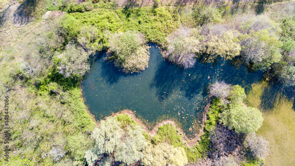 Natura e paesaggio: vista aerea di un bosco e di laghi, verde ed alberi in un paesaggio di natura selvaggia