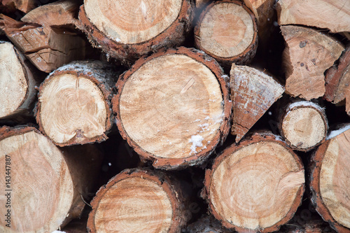 Wallpaper Mural Legno Torontodigital.ca