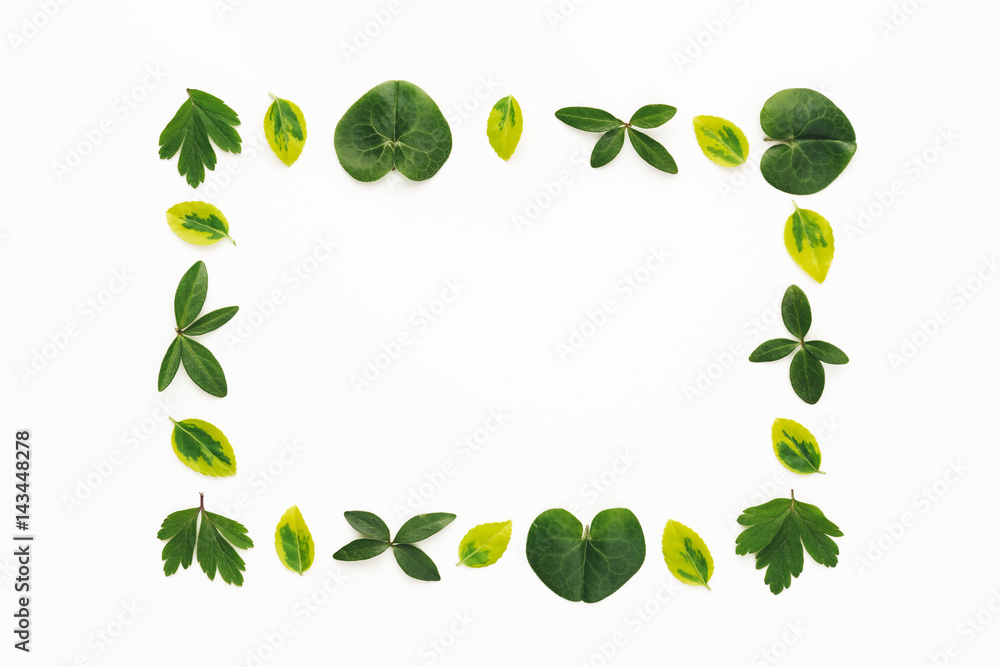 Green Leaves Frame On White Background Green Leaves Frame On White Background