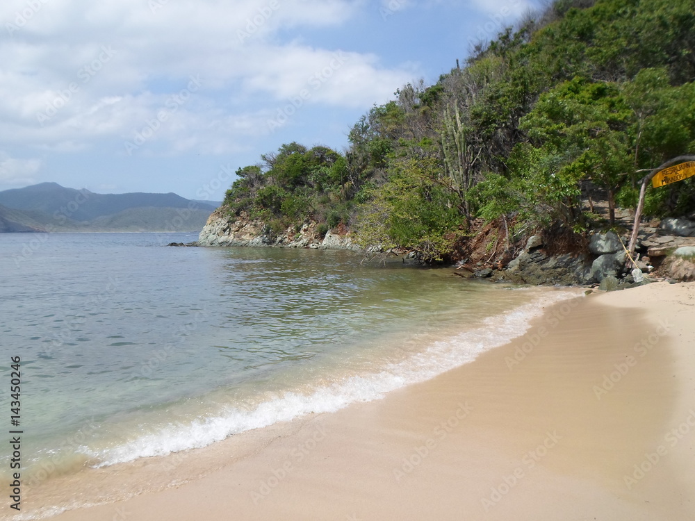 Fototapeta premium beach