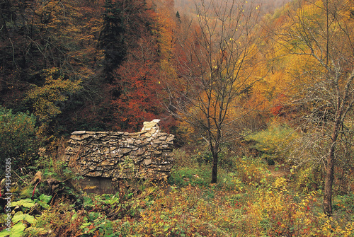 Watermill in Sami(Şamı) River, Erfelek Western Black Sea Mountains, Turkey. photo