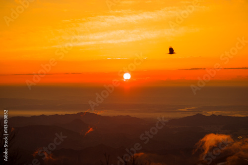 Sunrise with a bird