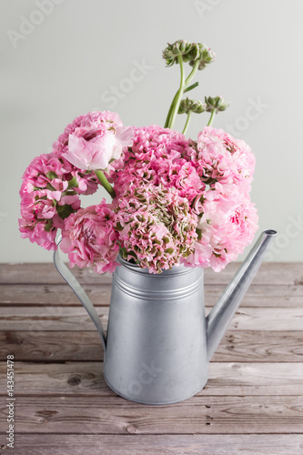 Fototapeta Naklejka Na Ścianę i Meble -  pink persian buttercup flowers. Curly peony ranunculus in Metallic gray vintage watering can, copy space.