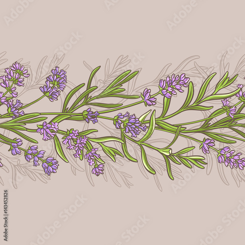 Fototapeta Naklejka Na Ścianę i Meble -  lavender vector  pattern