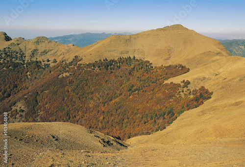 Fall colors in Amanos Mountains  Taurus Range  Hatay Turkey