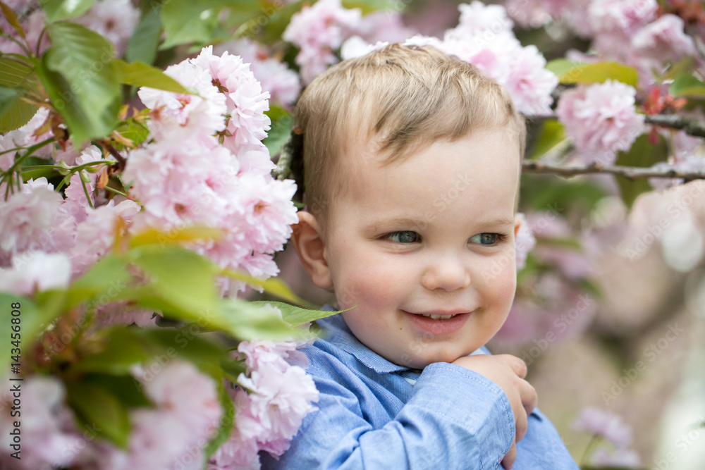 Cute baby boy among pink blossoming flowers Cute baby boy among pink blossoming flowers