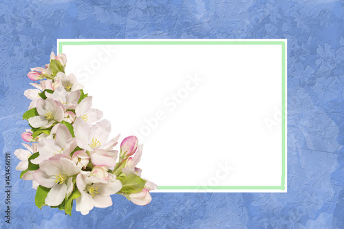 Greeting card with apple flowers,empty blank