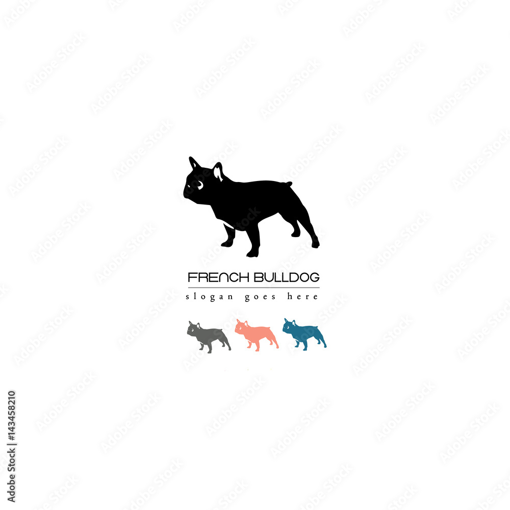 French bulldog French bulldog
