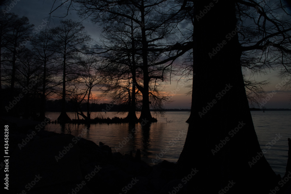 Sunset on Cypress Trees in the Lake