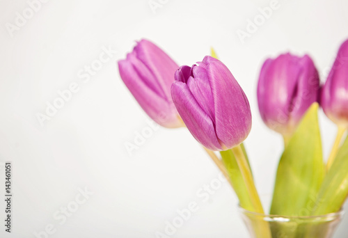 Fotografía Gift of Fresh Flowers