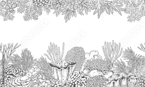 Coral Reef Line Horizontal Pattern