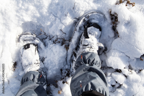 Wallpaper Mural Inverno Torontodigital.ca