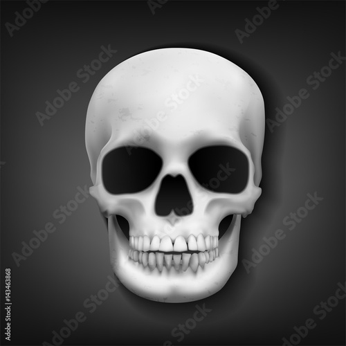Realistic skull head on dark background, Vector Illustration
