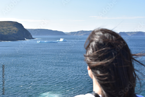 Fototapeta Naklejka Na Ścianę i Meble -  Admiring the view: icebergs in a northern cove