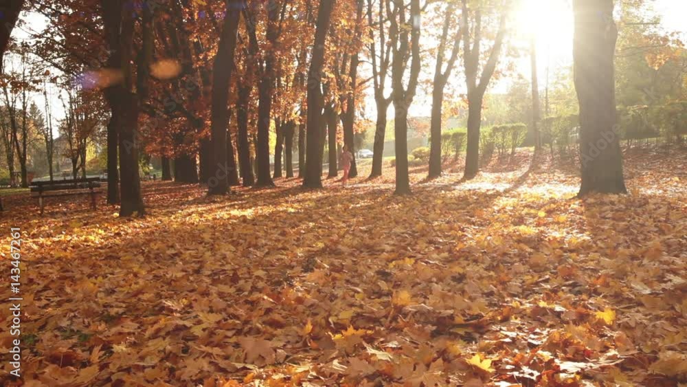 Woman runs in an autumnal leaves-covered sunny park Woman runs in an autumnal leaves-covered sunny park