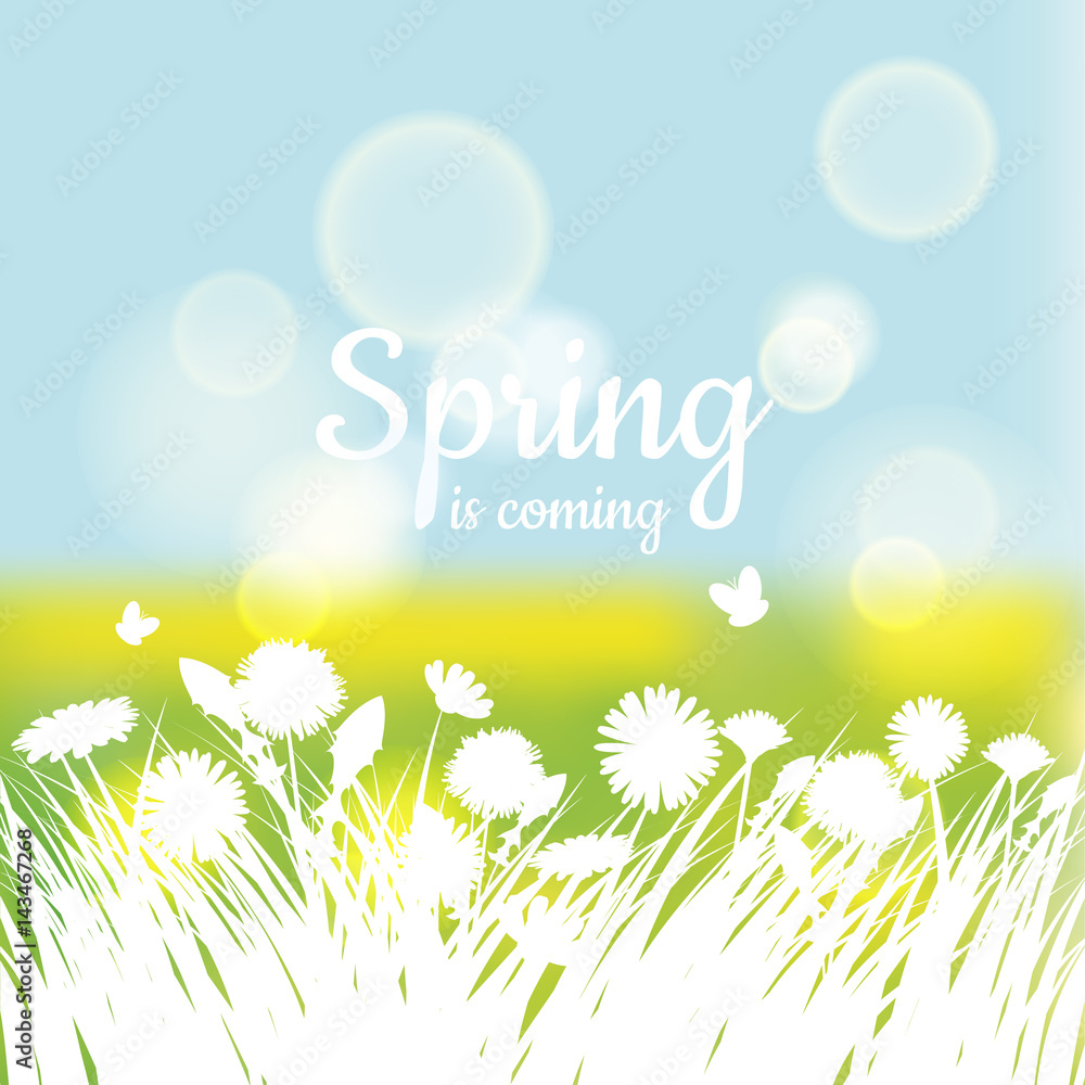 Hello Spring lettering with green grass and chamomile on green background. Spring background. Design for banners, greeting cards, spring sales. Vector illustration