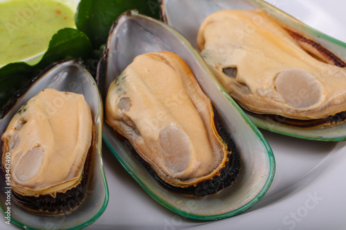 New Zealand Mussels