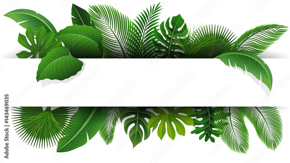 Sign with text space of Tropical Leaves. Suitable for nature concept, vacation, and summer holiday. Vector Illustration Sign with text space of Tropical Leaves. Suitable for nature concept, vacation, and summer holiday. Vector Illustration