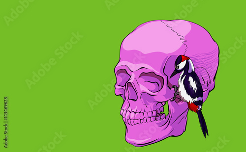 Naturalistic pink human skull and woodpecker drawn in different layers