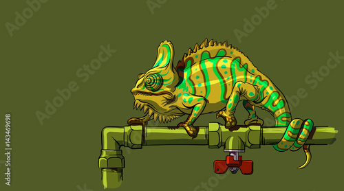 Chameleon sitting on a water pipe with a tap