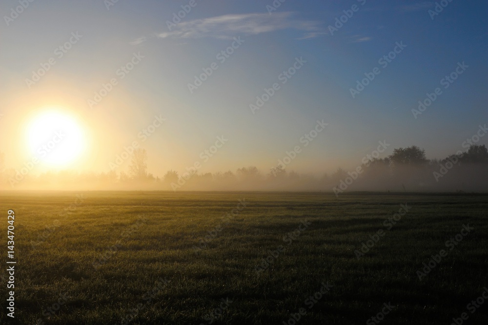 Breakfast misty meadow