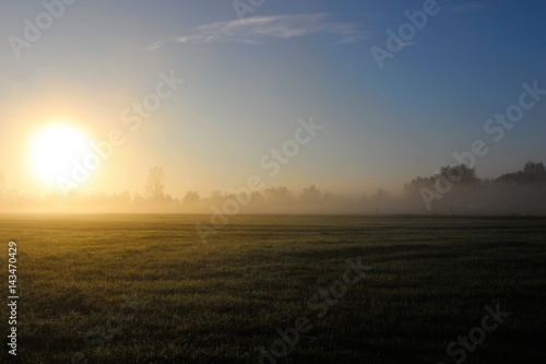 Breakfast misty meadow