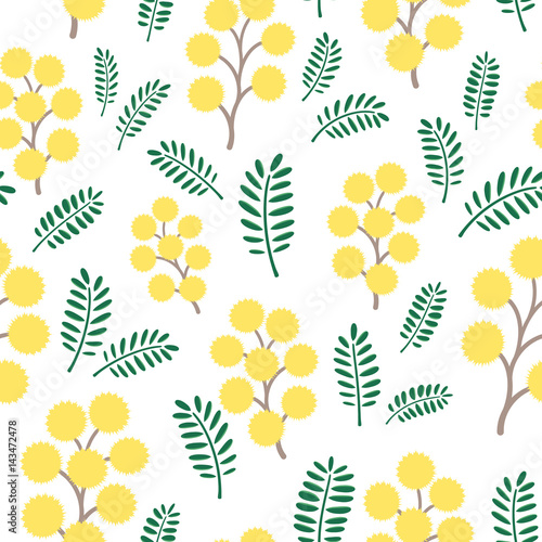 Fotografía Spring mimosa flowers, seamless vector pattern