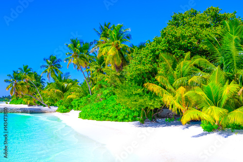 Fototapeta Naklejka Na Ścianę i Meble -  Dreamscape Escape On Maldives