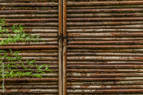 Japanese garden bamboo door in the winter