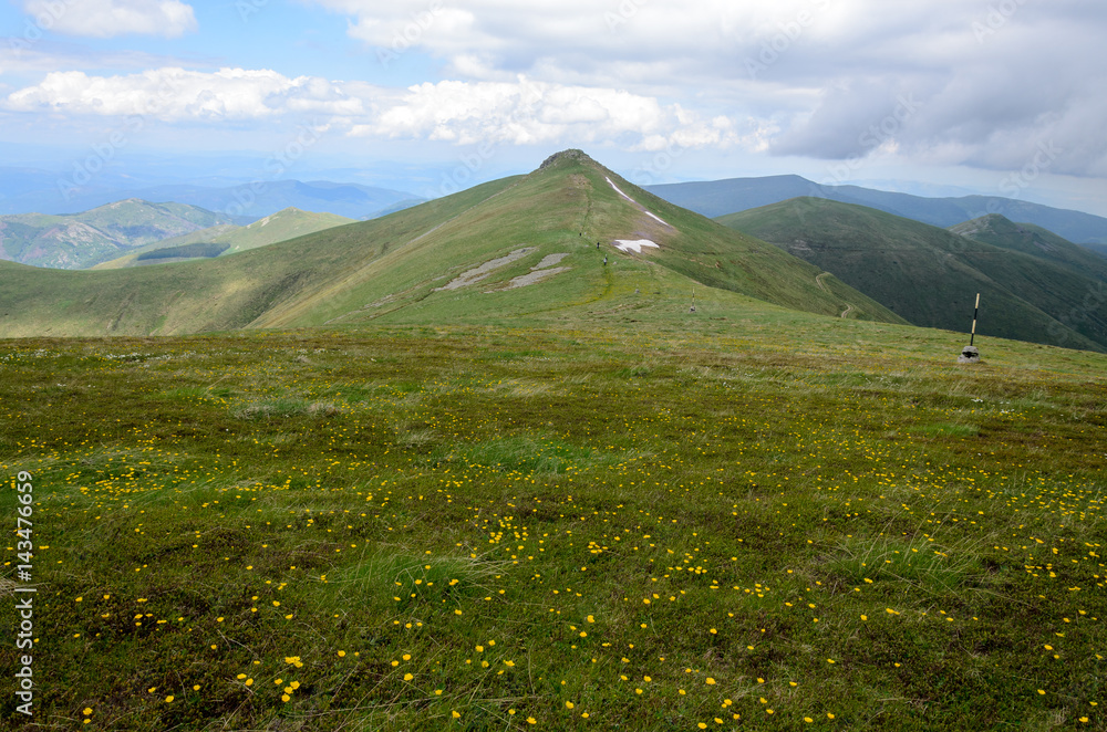 Green meadow and mountain peaks in Osogovo range, Bulgaria