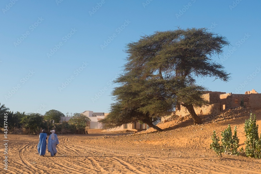 Obraz premium Scene with Locust Tree and Traditionally Clothed Men in Mauritania