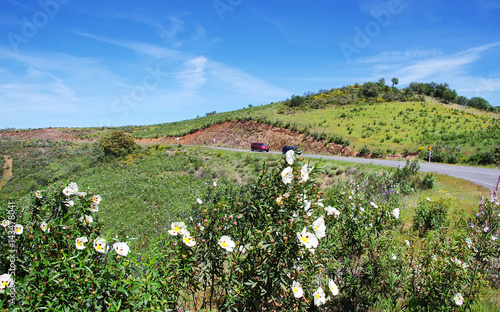 road in natural park, guadiana valley, Poprtugal photo