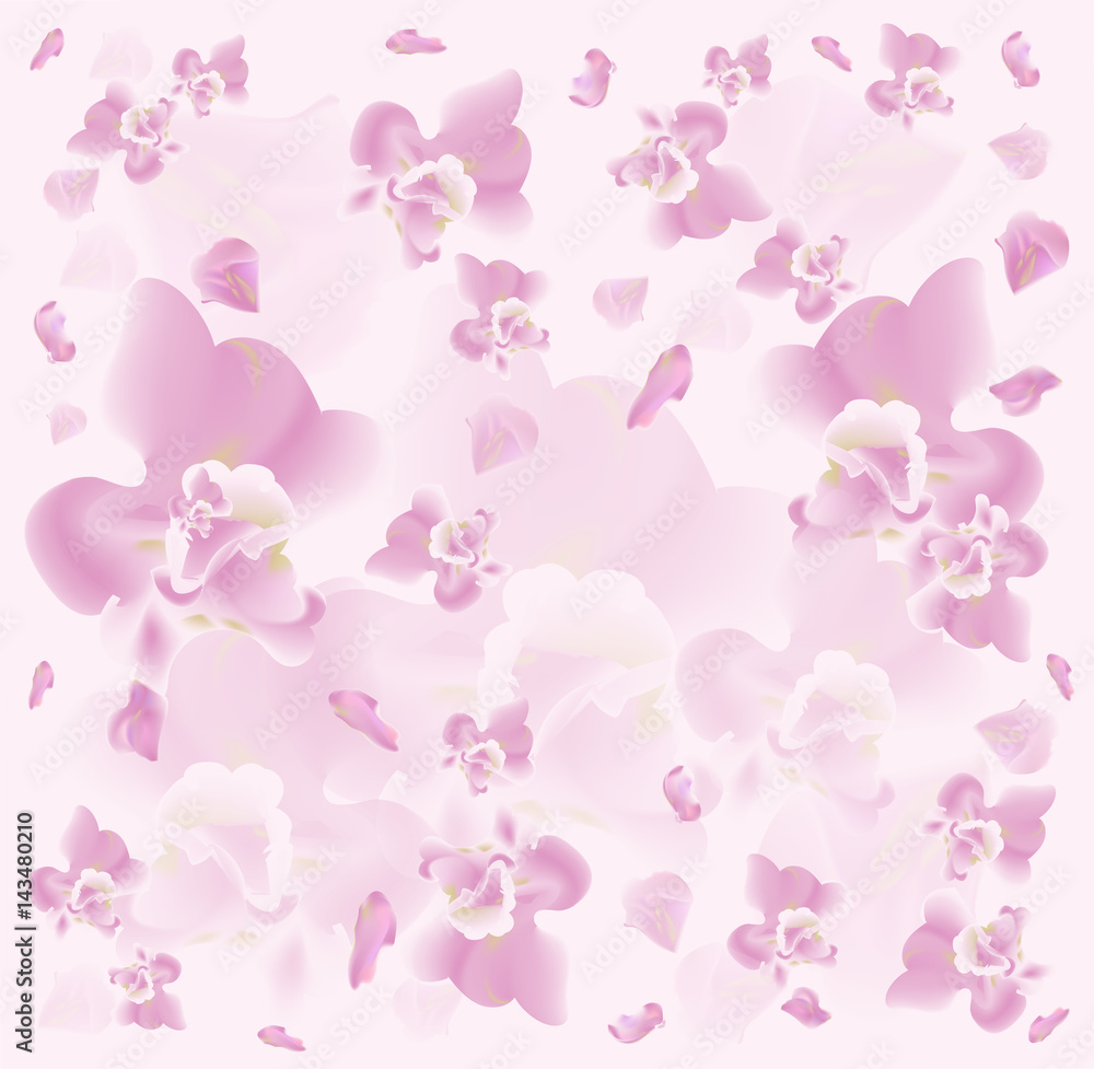 Spring abstract pastel colors background with orchids 